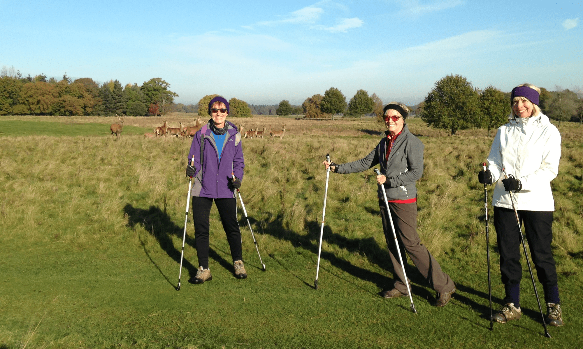 Nordic Walking in Tatton Park