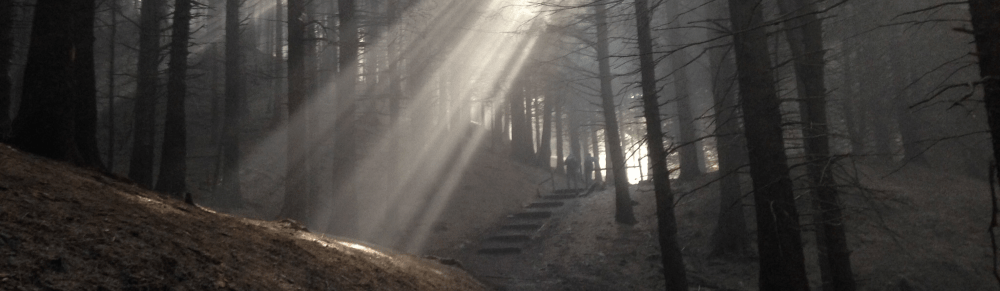 Nordic Walking Cheshire Countryside