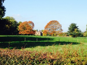 Peover Hall walk Oct 2015