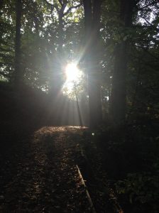 Nordic Walking in Styal Cheshire