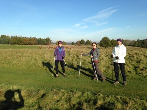 Nordic Walking in Tatton Park, Knutsford