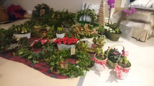 North Cheshire Nordic Walking Christmas Lunch 2016