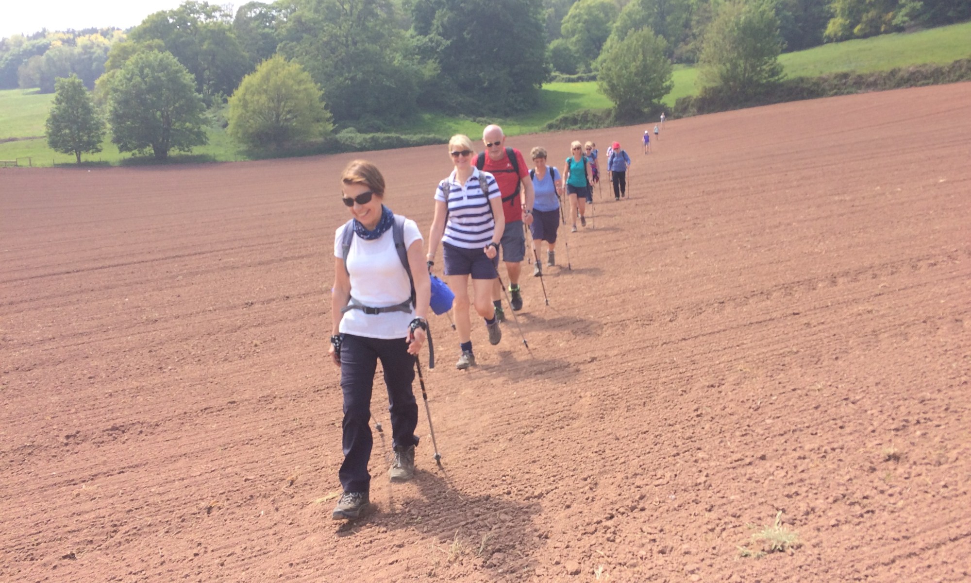 North Cheshire Walking Sandstone Trail Peckforton