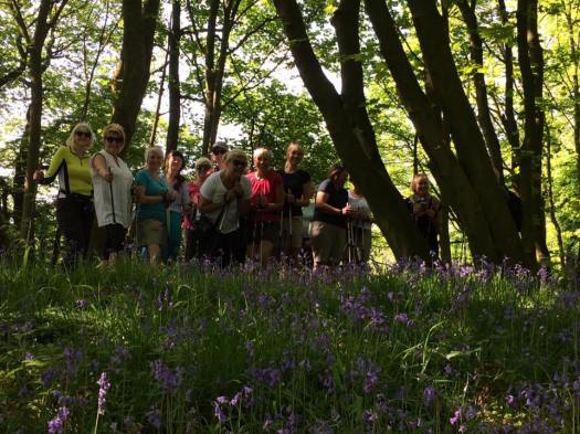 Bluebells group1