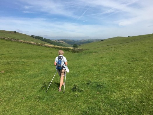 Ilam and Dovedale walk Jul 2019